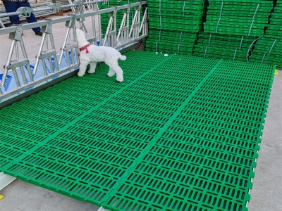 塑料漏糞板與其他材質(zhì)漏糞板相比有哪些優(yōu)勢