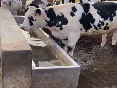 恒溫飲水槽使用年限久了，加熱效率明顯下降，從這些方面排查改進